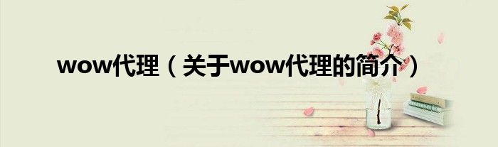 wow代理（关于wow代理的简介）