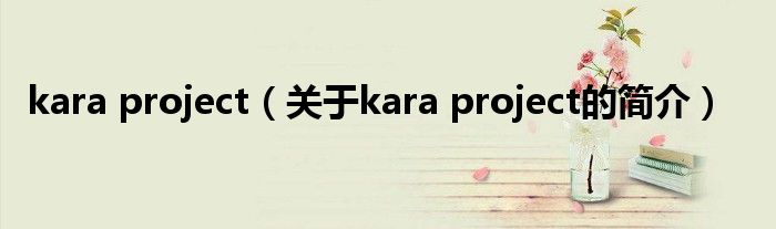 kara project（关于kara project的简介）