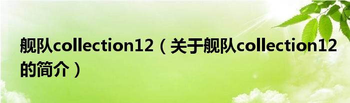 舰队collection12（关于舰队collection12的简介）