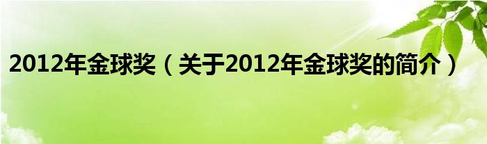 2012年金球奖（关于2012年金球奖的简介）