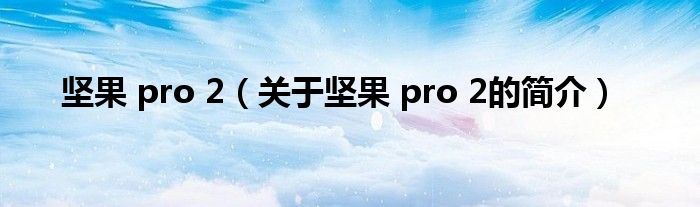 坚果 pro 2（关于坚果 pro 2的简介）