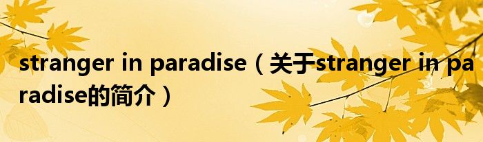 stranger in paradise（关于stranger in paradise的简介）