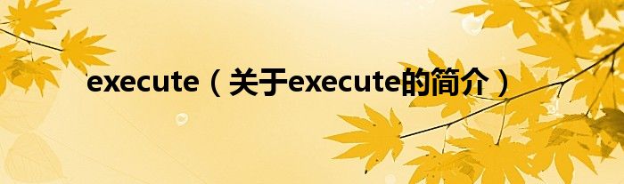 execute（关于execute的简介）