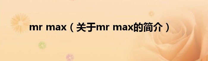 mr max（关于mr max的简介）