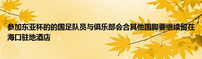 参加东亚杯的的国足队员与俱乐部会合其他国脚要继续留在海口驻地酒店