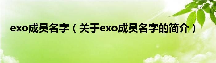 exo成员名字（关于exo成员名字的简介）