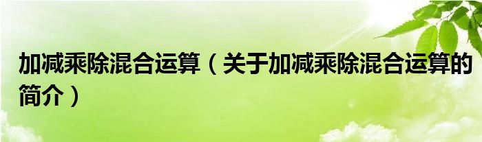 加减乘除混合运算（关于加减乘除混合运算的简介）