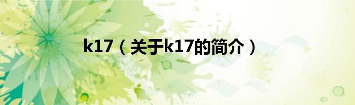 k17（关于k17的简介）