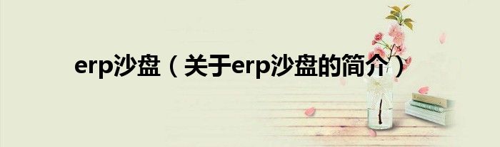 erp沙盘（关于erp沙盘的简介）