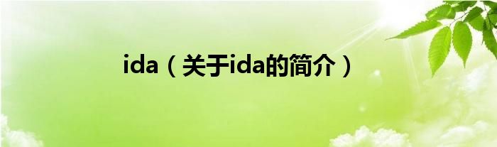 ida（关于ida的简介）