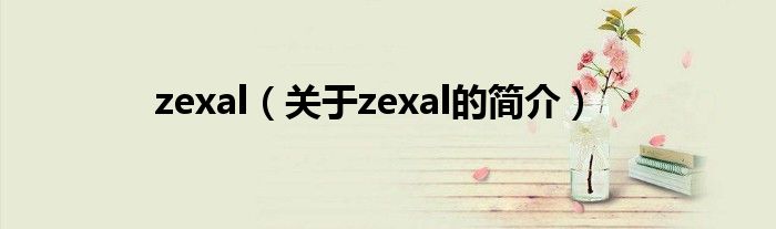 zexal（关于zexal的简介）