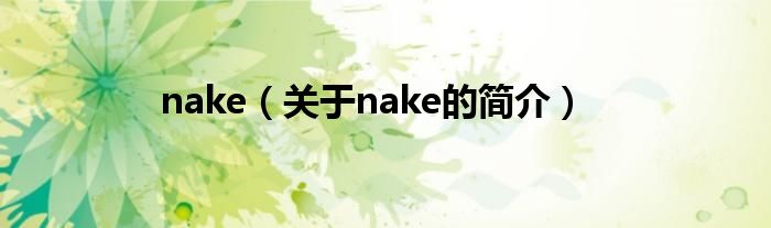 nake（关于nake的简介）