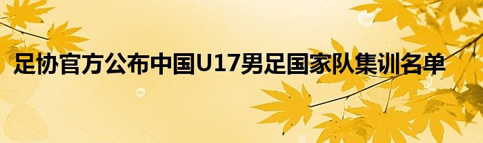 足协官方公布中国U17男足国家队集训名单