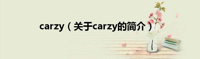 carzy（关于carzy的简介）