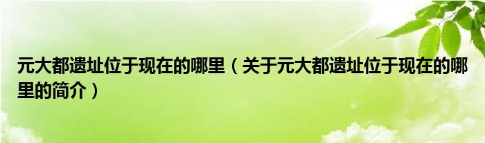 元大都遗址位于现在的哪里（关于元大都遗址位于现在的哪里的简介）