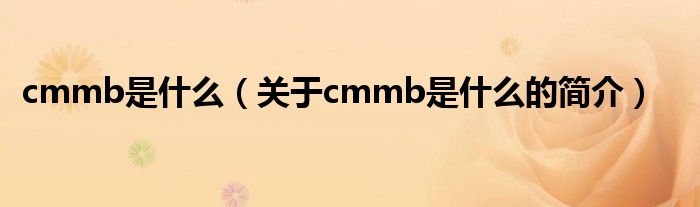 cmmb是什么（关于cmmb是什么的简介）