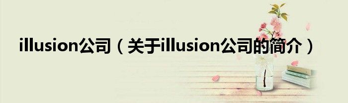 illusion公司（关于illusion公司的简介）