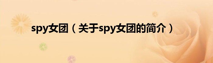 spy女团（关于spy女团的简介）