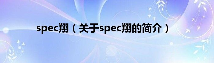 spec翔（关于spec翔的简介）