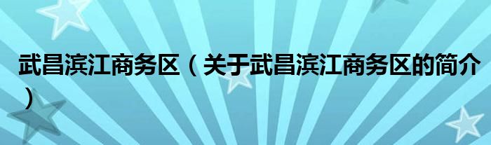 武昌滨江商务区（关于武昌滨江商务区的简介）