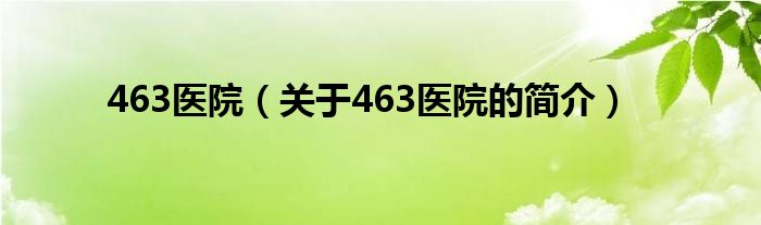 463医院（关于463医院的简介）