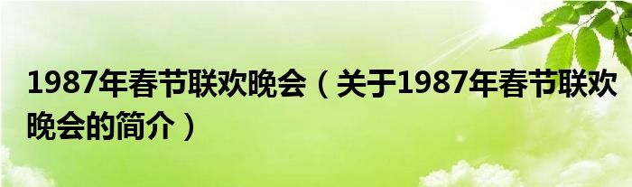 1987年春节联欢晚会（关于1987年春节联欢晚会的简介）