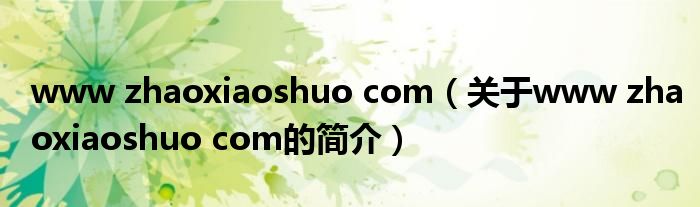 www zhaoxiaoshuo com（关于www zhaoxiaoshuo com的简介）