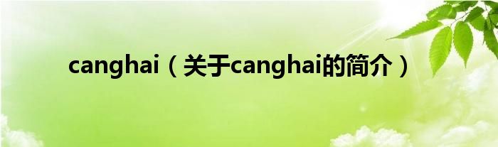 canghai（关于canghai的简介）