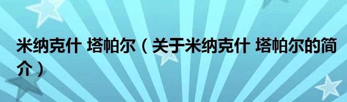 米纳克什 塔帕尔（关于米纳克什 塔帕尔的简介）