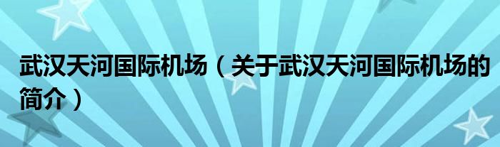 武汉天河国际机场（关于武汉天河国际机场的简介）