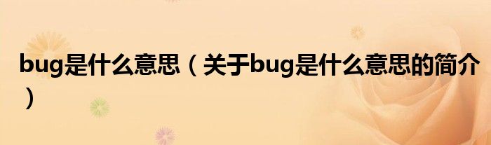 bug是什么意思（关于bug是什么意思的简介）
