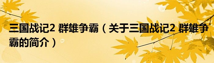 三国战记2 群雄争霸（关于三国战记2 群雄争霸的简介）