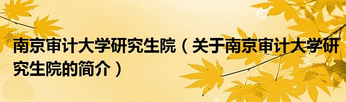 南京审计大学研究生院（关于南京审计大学研究生院的简介）