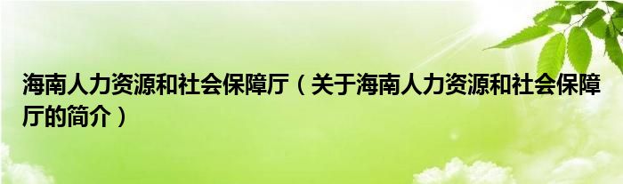 海南人力资源和社会保障厅（关于海南人力资源和社会保障厅的简介）