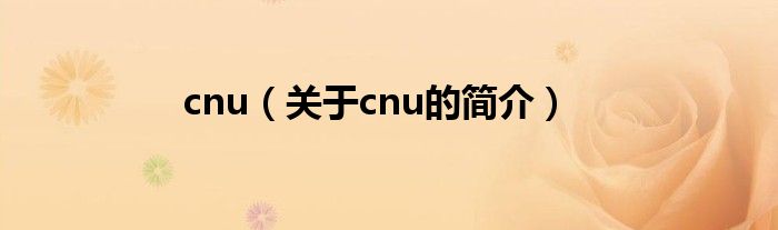 cnu（关于cnu的简介）