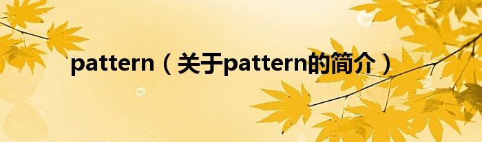 pattern（关于pattern的简介）