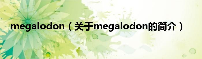 megalodon（关于megalodon的简介）