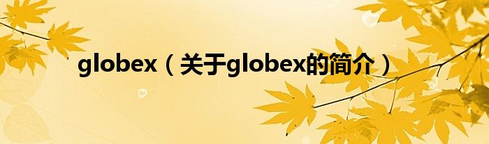 globex（关于globex的简介）