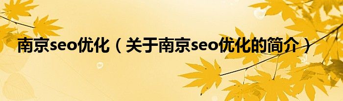 南京seo优化（关于南京seo优化的简介）