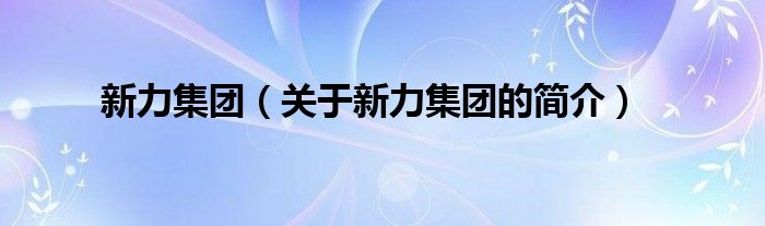 新力集团（关于新力集团的简介）