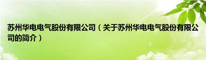 苏州华电电气股份有限公司（关于苏州华电电气股份有限公司的简介）