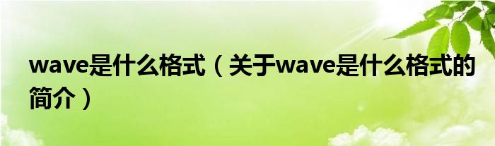 wave是什么格式（关于wave是什么格式的简介）