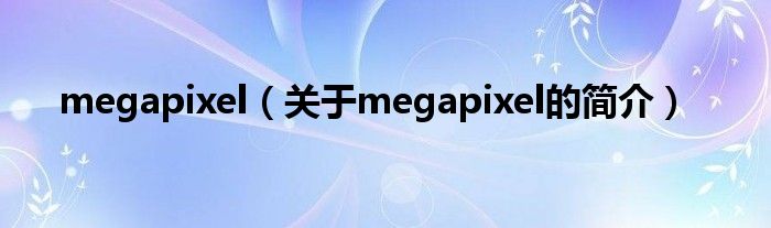 megapixel（关于megapixel的简介）