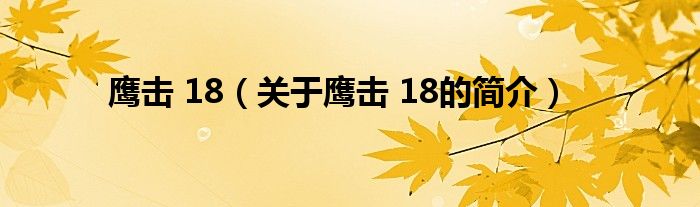 鹰击 18（关于鹰击 18的简介）