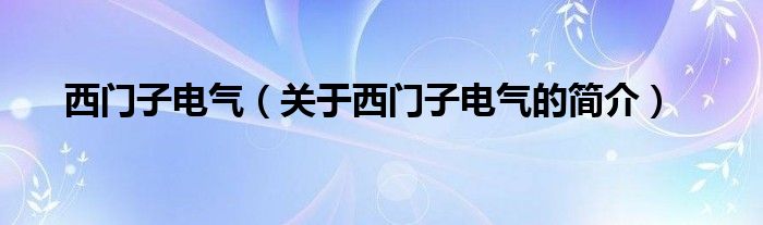 西门子电气（关于西门子电气的简介）