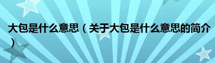 大包是什么意思（关于大包是什么意思的简介）