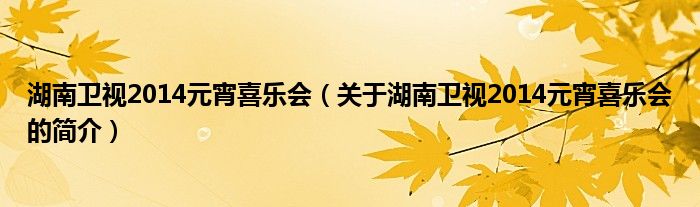 湖南卫视2014元宵喜乐会（关于湖南卫视2014元宵喜乐会的简介）