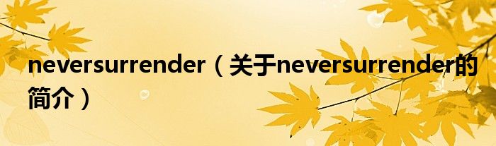 neversurrender（关于neversurrender的简介）