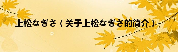 上松なぎさ（关于上松なぎさ的简介）