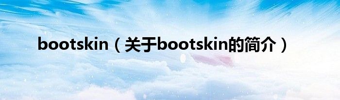bootskin（关于bootskin的简介）
